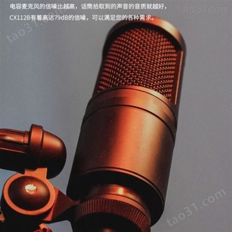 AUDIX CX112B专业电容麦克风声卡套装录音K歌直播合唱广播电台