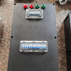 FXK-S-A3B1D2K1全塑外壳控制箱柜