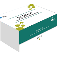 大鼠CX3C趋化因子;fractalkine(FKN;CX3CL1)ELISA试剂盒