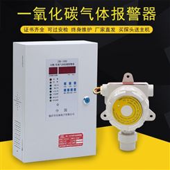 ZBK-1000一氧化碳气体报警器固定式CO检测仪