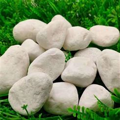 园林绿化鹅卵石 2-3公分白鹅卵石 鹅卵石生产厂家 日进矿产