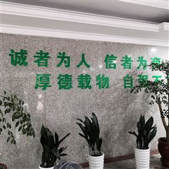 江苏连云港 景观浮雕文化墙 亚克力字背景墙 文化墙定做 辰信