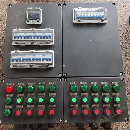 BXD8061-12防爆防腐动力配电箱