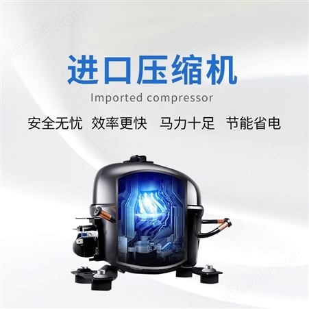 天翎FD-1A-50普通型真空冷冻干燥机食品水果冻干机