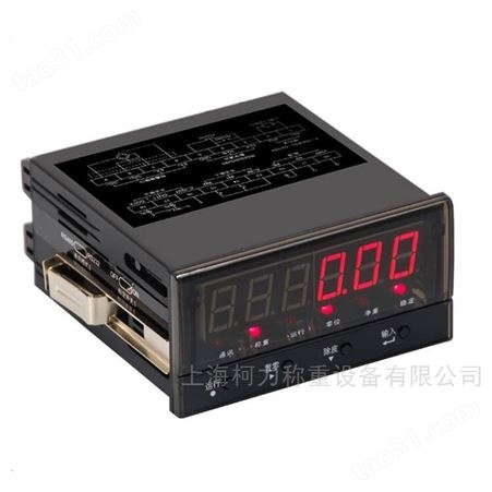 上海耀华XK3190-C802称重控制器 电子秤显示仪表 RS485接口MODBUS-RUT显示器