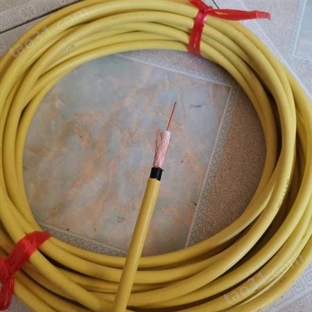WDZ-SYV电缆 WDZ-SYV同轴电缆75-5