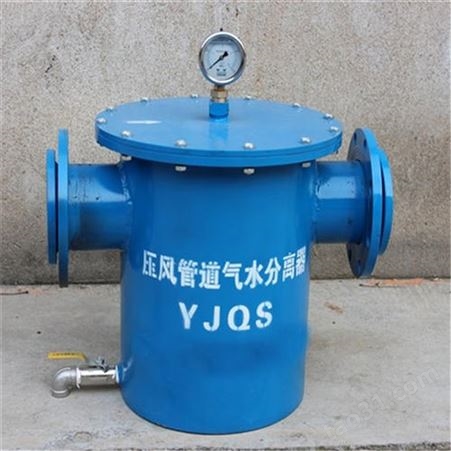 YJQS-C气水分离器 DN100汽水分离器 气水分离过滤器