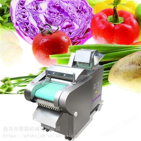 红薯切片切丝机/海带切丝切块机/芹菜菠菜切馅机