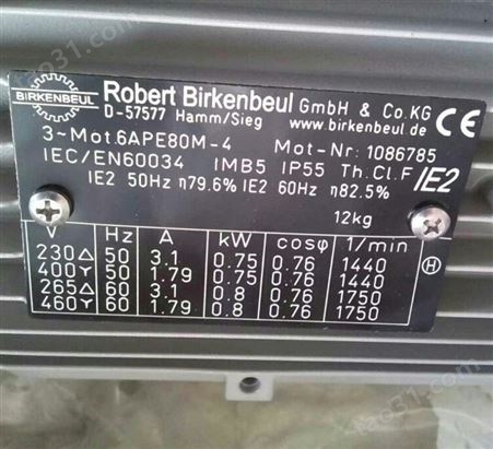 Robert Birkenbeul电机