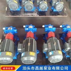 昌越泵业 KCB齿轮泵 小型泵 不锈钢齿轮泵 支持定制