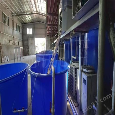 滚塑塑料水桶 水产养鱼桶 反季节鱼苗水池