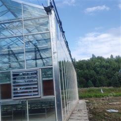 承建北京海淀智能玻璃温室 含(物联网温室自动控制设备升级改造) 中农智造中农DX-489