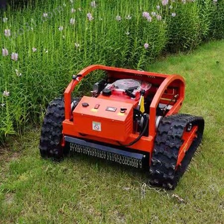 草坪修剪设备 园林机械除草机 履带式堤坡割草机