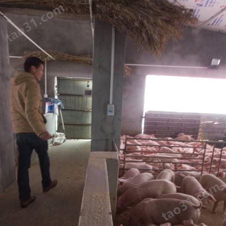四川畜牧地暖 猪用电地暖量大从优