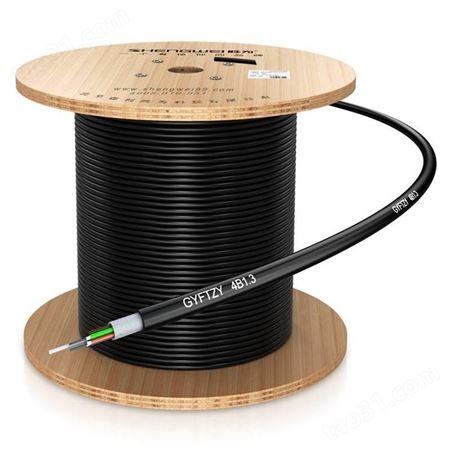 胜为BGZY024B 室外光缆强电击穿架空光缆 GYFTZY层绞式光缆 单模24芯光纤非金属光纤光缆