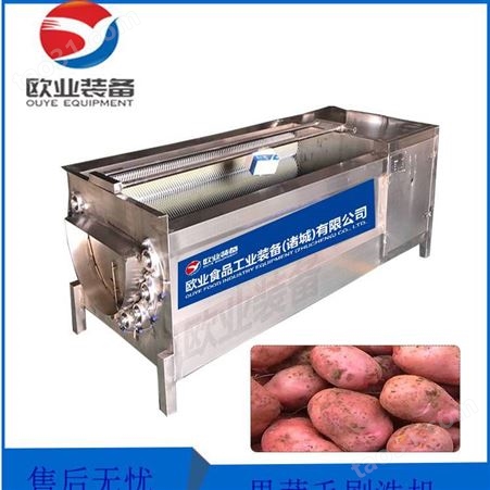 全自动红薯土豆中药材毛刷清洗机 去皮去泥毛辊清洗机设备 净菜加工生产线
