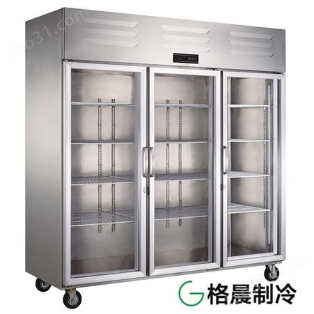 冷柜|商用大容量冷柜|全铜管冷柜