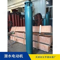供应天津市高压锡青铜660V潜水电机