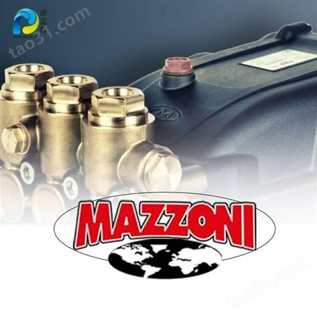 意大利进口MAZZONI 冷水清洗机 去污除锈清洗 - KSF 400/500/600 电驱动
