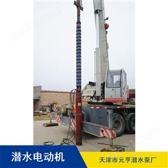 天津基建工程用立式660V潜水电机