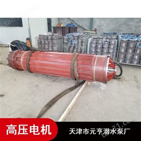天津市卧式1178系列6KV高压潜水电机