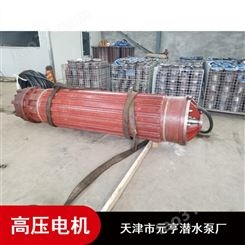 天津锡青铜1166系列3000V高压潜水电机产品介绍