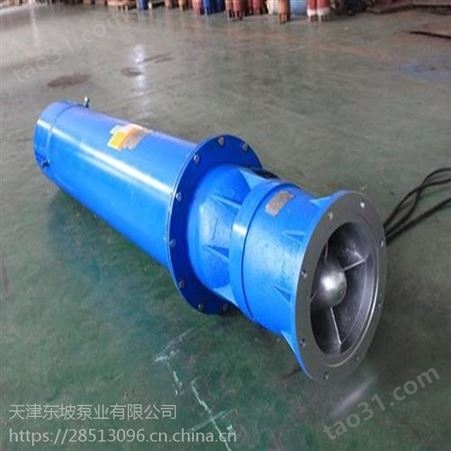 天津东坡泵业温泉热水潜水泵选购