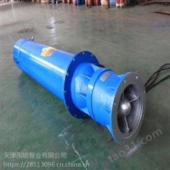 天津东坡泵业井用潜水电泵的扬程/流量/井径/电机成套供货