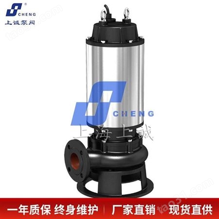 排污泵 自动搅匀排污泵 QW150-200-30-37 上诚泵阀
