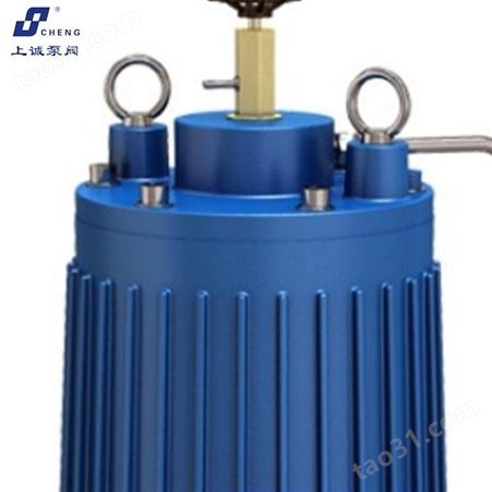 离心泵 屏蔽式管道离心泵 ISG65-100A 上诚泵阀
