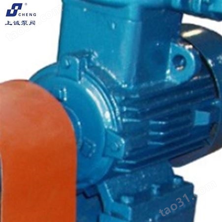ZE重型石油化工流程泵 上诚泵阀 重型石油化工流程泵
