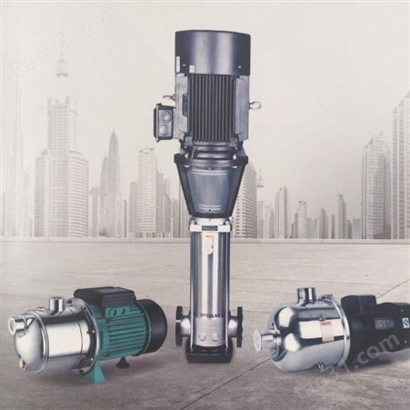 新界立式泵BLT2-11S 反渗透立式泵 380V多级离心泵 超滤增压泵