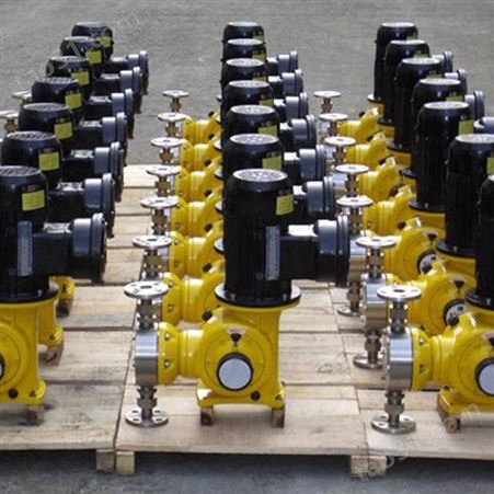 隔膜计量泵使用说明 厂家供应隔膜计量泵货源