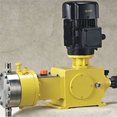 隔膜计量泵使用说明 厂家供应隔膜计量泵货源