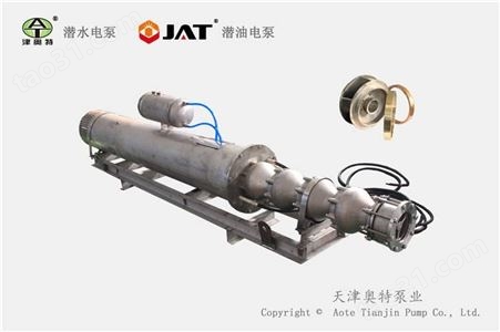 天津潜海水电泵 变频海水提升泵 不锈钢潜水泵