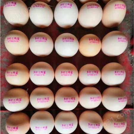 INKHA00喷码机油墨YJR INK HA00鸡蛋喷码油墨_用于鸡蛋加工厂