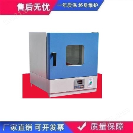 DHG-9303-00电热恒温鼓风干燥箱实验室工业粮食烘箱