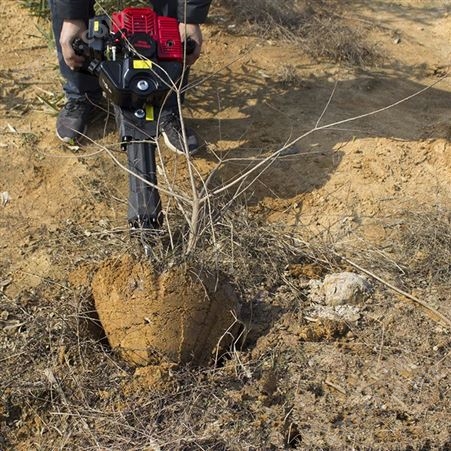 佳民 手提式挖树机 园林树木起树机 汽油移植机