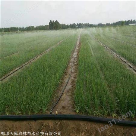 安徽阜阳喷灌设备 农业蔬菜微喷带