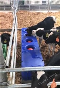 菲富利 牛自动加热饮水槽 牛用恒温水槽 牧场牛场 冬季