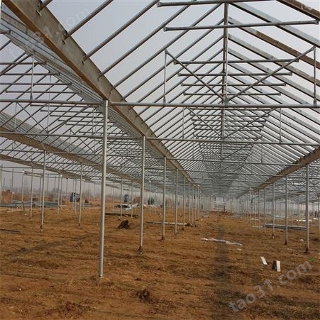 琴岛 新疆养殖大棚 钢架结构大棚