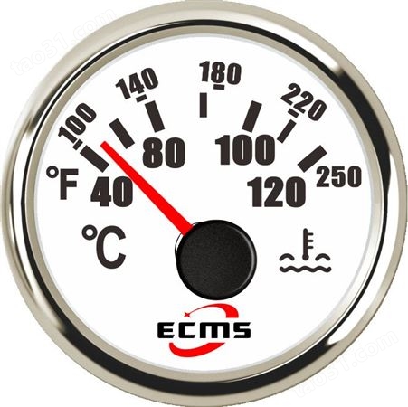 仪创 ECMS 800-00032 水温显示仪表 仪器仪表