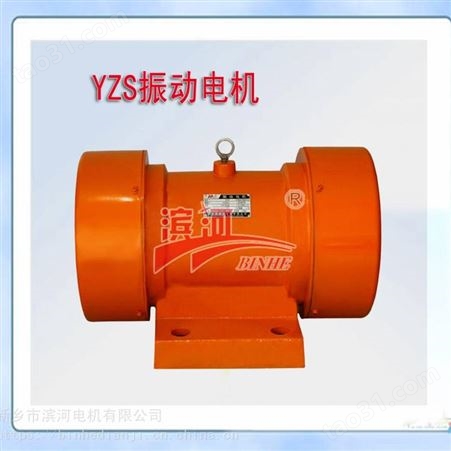 供应滨河YZS-16-4振动电机全铜线机芯