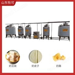 传统奶制品加工设备 奶豆腐加工机器 乳品加工机械