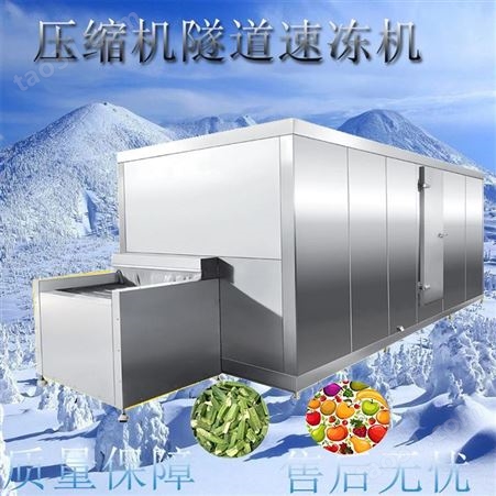 猪脚单冻网带速冻机 -55°低温压缩机隧道式速冻机 宏科厂家急速冷冻设备