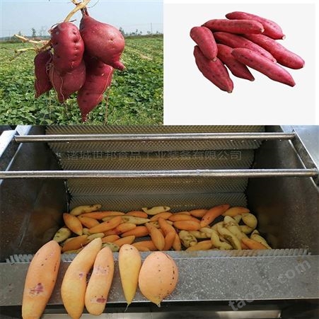 红薯干加工成套设备 商用红薯干渗糖锅 地瓜条浸糖设备 红薯干烘干设备