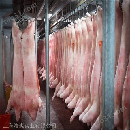 500平方米肉类冷库安装、冻肉冷库、低温冷库设计安装