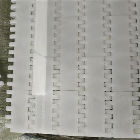 泰阳 耐高温耐酸链网食品级链网批发塑料网带链板POM PP材质