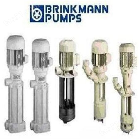 德国brinkmann泵