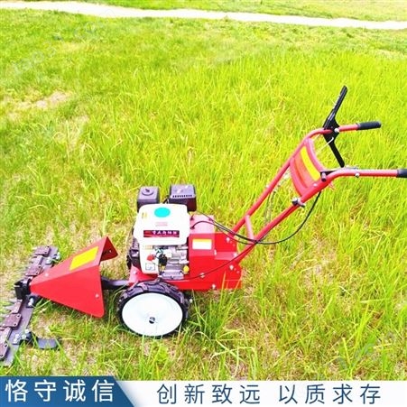 牧场宽幅割草机 单人手推式汽油剪草机 大面积草坪修剪机